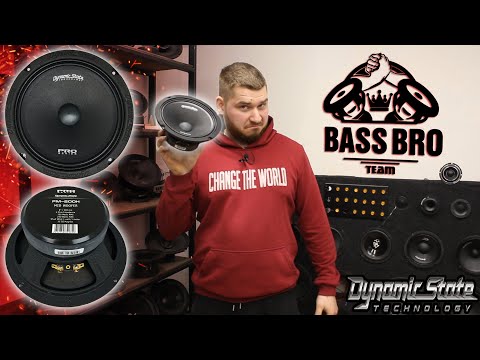 Видео: Обзор DYNAMIC STATE PRO PM-200H. Сравнение с DST CUSTOM CM-20.4v2, PRO PM-200.1 и SWAT SBT-80 PRO