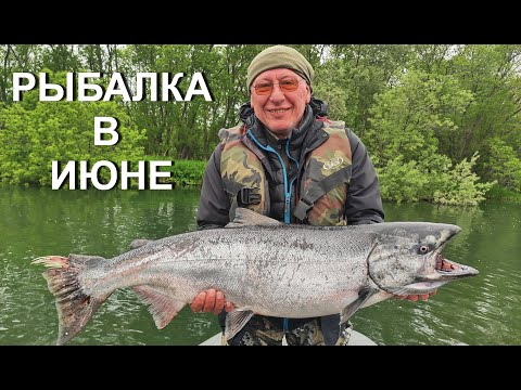 Видео: Рыбалка на Чавычу. Камчатка, река Большая...