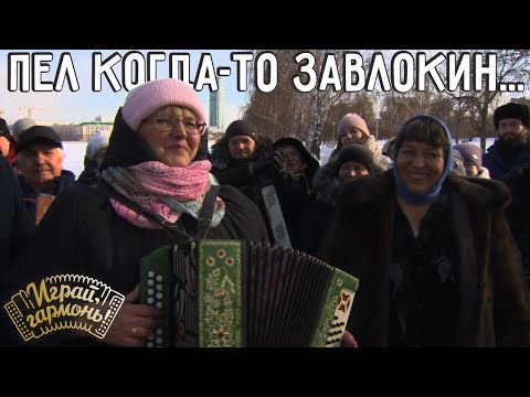 Видео: Пел когда-то Заволокин... | Галина Гончарова (Тамбовская область) | Играй, гармонь! | @igraygarmon