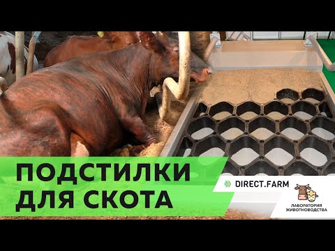 Видео: Виды подстилок для скота