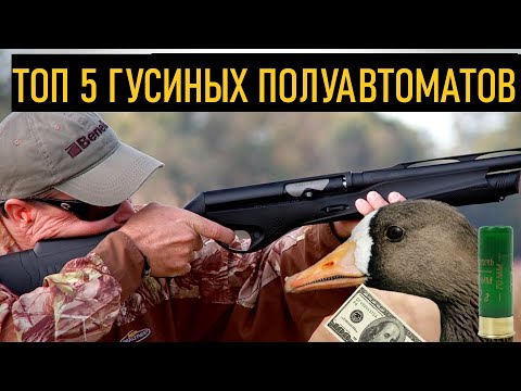 Видео: 💥 ТОП 5 ГУСИНЫХ ПЯТИЗАРЯДНЫХ РУЖЕЙ