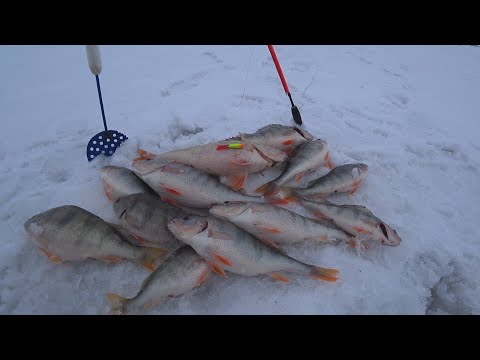 Видео: РЫБАЛКА НА БАЛАНСИР. КЛЕВ КАК ИЗ ПУЛЕМЕТА. КЕНГИРСКОЕ ВОДОХРАНИЛИЩЕ