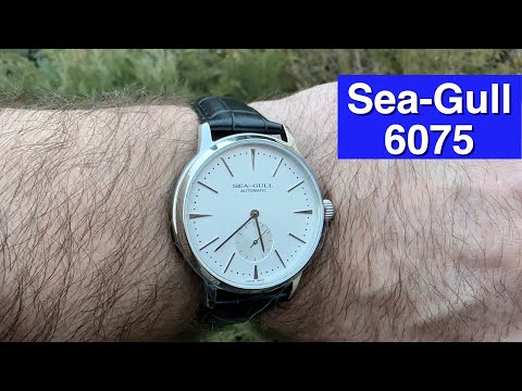 Видео: Часы Sea Gull 6075 c AliExpress! Очень красивый и достойный бюджетник за 70$!