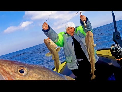 Видео: Морская рыбалка, Баренцево море. Июнь-2022/Sea fishing, Barents Sea. June-2022