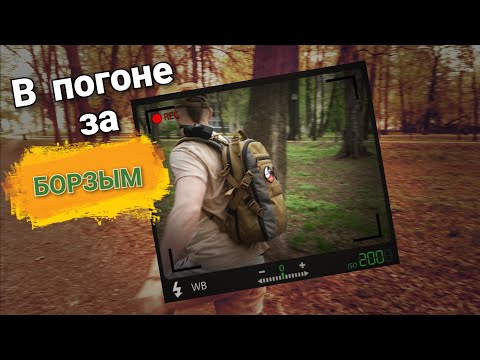 Видео: Что в моём EDC рюкзаке?