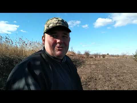 Видео: удобряем и поливаем грецкие орехи