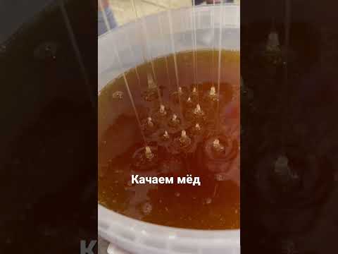 Видео: Качка мёда