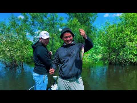 Видео: Рыбалка настоящих геологов