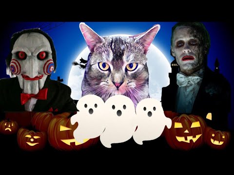 Видео: КОШАЧЬЯ ИСТОРИЯ УЖАСОВ 1 СЕРИЯ! НИКОГДА НЕ ДЕЛАЙТЕ ЭТИ ВЕЩИ В ХЭЛЛОУИН!