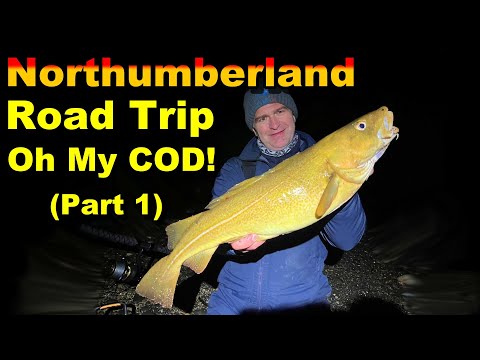 Видео: Раскрываем секреты поимки огромной трески в Великобритании! Рыбалка с берега