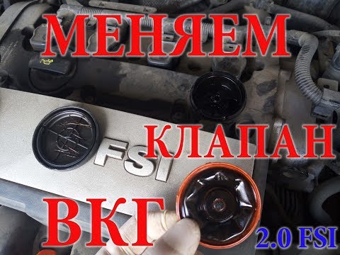 Видео: Замена КЛАПАНА (мембраны) ВКГ на двигателе 2.0 FSI (Passat B6) без услуг СТО. ПОЛНОЕ ВИДЕО