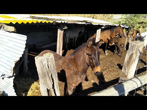 Видео: Как выглядит село в Испании.