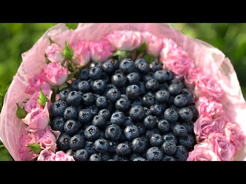 Видео: Мастер Класс Букет из ягод(голубика) на основе| DIY bouquet of berries