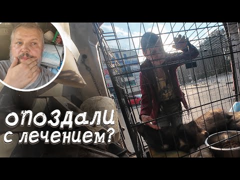 Видео: Она может вот-вот стать инвалидом, а её всё не лечат и не лечат...