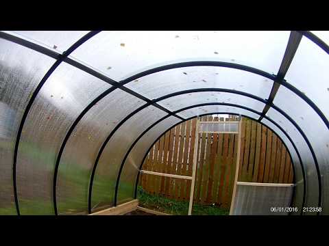 Видео: Теплица за 5000 рублей из ПНД 40