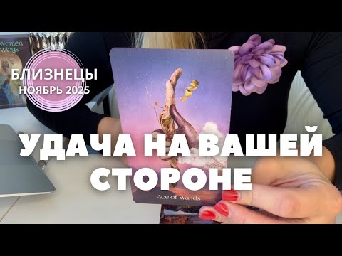 Видео: Близнецы НОЯБРЬ 2025 : УДАЧА НА ВАШЕЙ СТОРОНЕ! | Таро прогноз