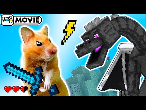 Видео: Выживание хомяка в Майнкрафт # 2 ⛏️ Хомяк против Дракона Края 🐹 Хомура Хам Питомцы