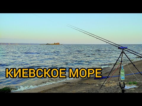 Видео: Фидерная рыбалка на Киевском водохранилище