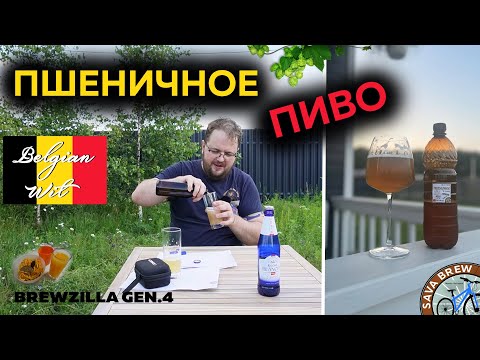 Видео: Летнее ПШЕНИЧНОЕ пиво 4 ЗЛАКА | Рецепт Витбир (Бланш)