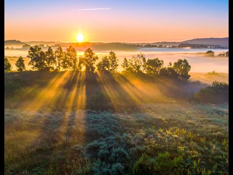Видео: На Тебя уповаю, Господь мой Cвятой Поклонение