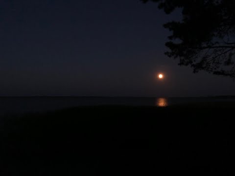 Видео: PHARAOH || Мой кайф (Slowed+Reverb)