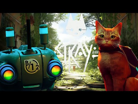 Видео: ФИНАЛ : Stray #11