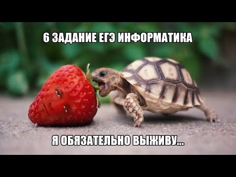 Видео: Изи балл. Задание №6 в ЕГЭ по Информатике 2025