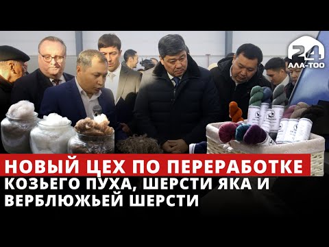 Видео: В Бишкеке открыли новый цех по переработке козьего пуха, шерсти яка и верблюжьей шерсти