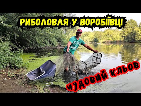 Видео: ЯК ЗАРАЗ КЛЮЄ РИБА У ВОРОБІЇВЦІ / РЕКОРДНИЙ СОМ /РИБОЛОВЛЯ ПІВДЕННИЙ БУГ