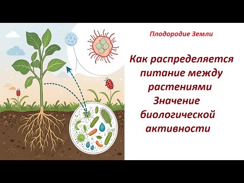 Видео: Подземное царство микробов . Биологическая активность в питании растений №673/24