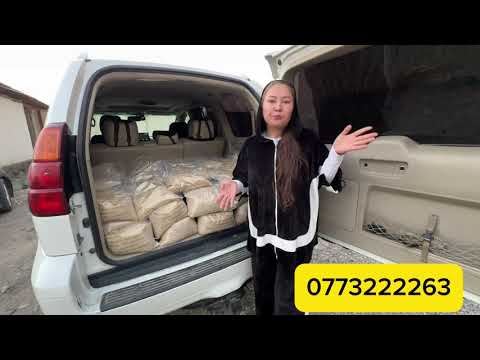 Видео: 💐💐💐ЖалалАбад доставкалар жетти. Эми ФИНАЛ ды откоролу. Тулпар тв дан гуруч алганча унаалуу болунуз