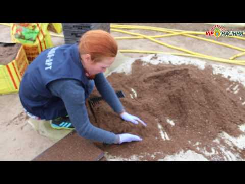 Видео: Технология выращивания лука через рассаду - подбор субстрата, набивка кассеты