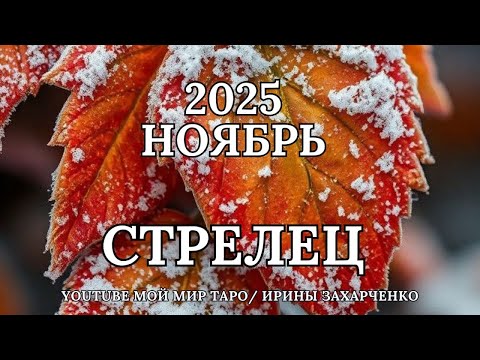 Видео: СТРЕЛЕЦ♐🍂НОЯБРЬ 2025 🍁Таро прогноз для Стрельцов/Tarot forecast from Sagittarius