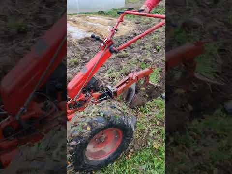 Видео: Осенняя вспашка целены плугом пц-1.18