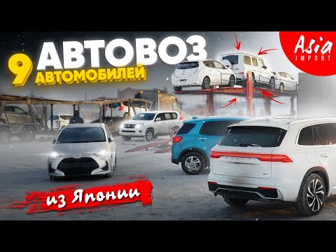 Видео: ЦЕНЫ и СРОКИ доставки‼️Авто из Японии