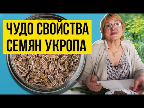 Видео: На что способна всего одна ложка СЕМЯН УКРОПА