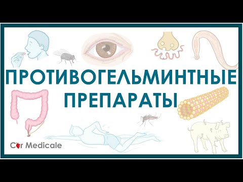 Видео: Противоглистные/противогельминтные средства - немного о паразитах, механизм действия, побочка