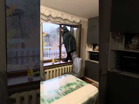 Видео: Осы адамдарға Өсек керек неше бала туам өзім білем ғои 😱#реу #rek #рекомендации 