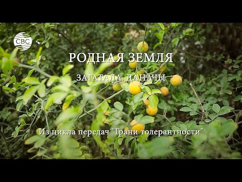 Видео: РОДНАЯ ЗЕМЛЯ. ЗАГАТАЛА. ДАНАЧЫ. Из цикла передач "Грани толерантности"