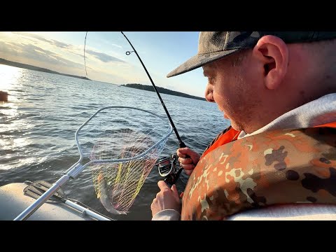 Видео: НАЛОВИЛИ РЫБЫ и сразу приготовили!