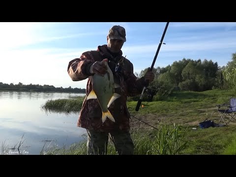 Видео: Рыбачу ,а Место уже ЗАНЯЛИ! Рыбалка на Леща/Сало/Донки.