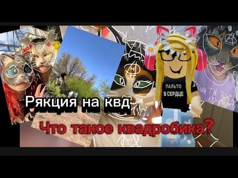 Видео: Реакция на квадробику #роблокс #квадробика #рякция