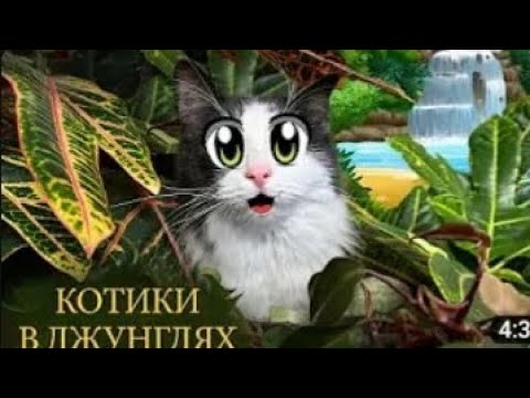 Видео: а ну ка давайка топ🥰😍