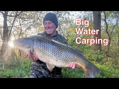 Видео: Ловля карпа на большой воде 💪🏻🇫🇷🎣