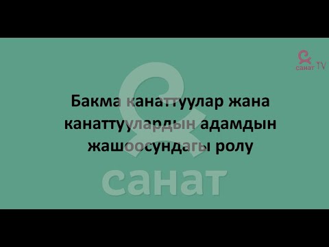 Видео: Зоология 7 класс 27 сабак