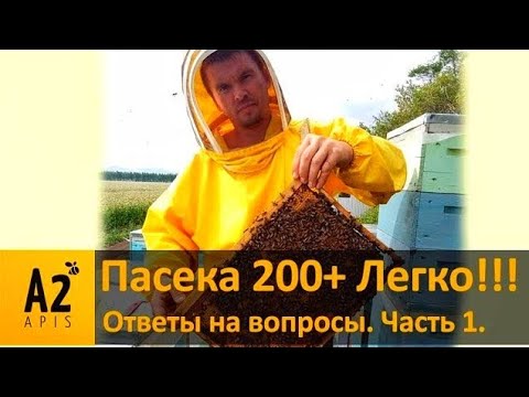 Видео: Vlad Belozerov #1: Пасека 200+Легко!!! Нюансы технологии