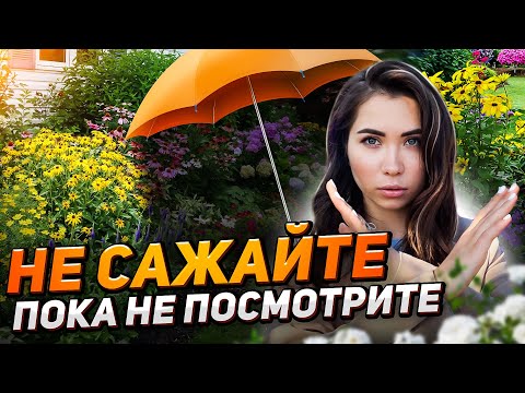Видео: САМЫЕ НЕПРИХОТЛИВЫЕ растения для солнца и тени (экстремальный цветник)