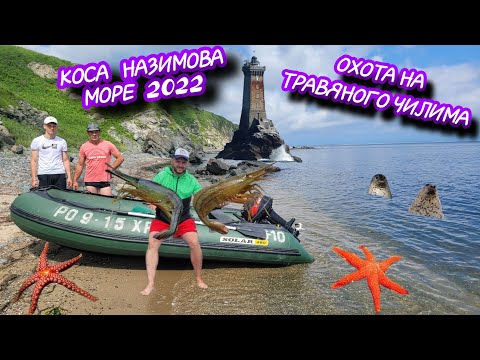 Видео: МОРЕ 2022 КОСА НАЗИМОВА ,ОХОТА НА ТРАВЯНОГО ЧИЛИМА