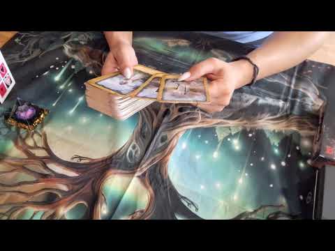 Видео: Какъв ще бъде следващия му ход !!!