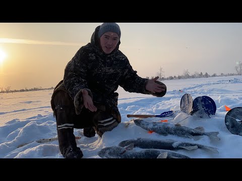 Видео: Нашёл рыбное озеро👀. Рыбалка на жерлицы. 🐟 Жизнь в лесу, Ханты.